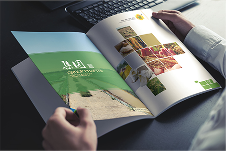 畫冊設(shè)計 畫冊設(shè)計