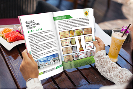 銀川畫冊設(shè)計 銀川畫冊設(shè)計